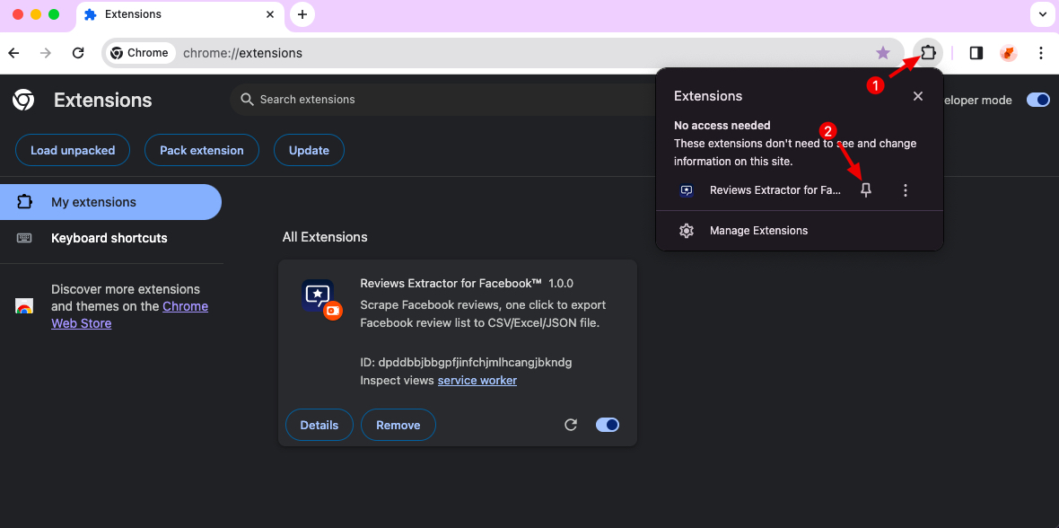 Facebook Reviews Extractor chrome extension install pin